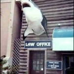 LawOffice