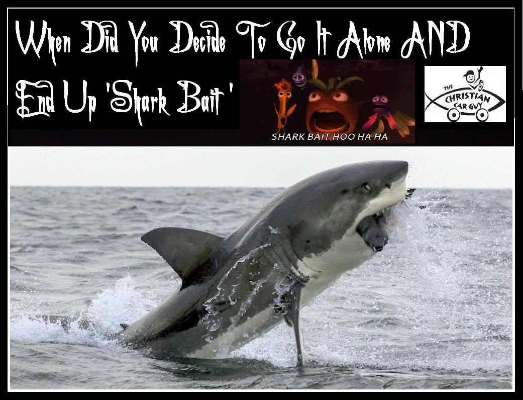 Shark Bait