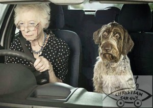 funny dog old lady driving