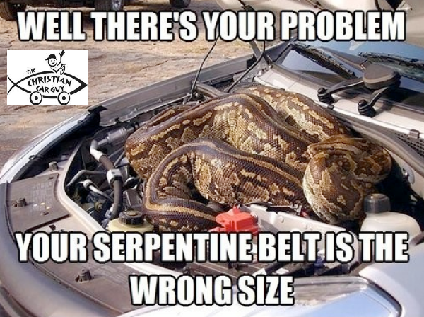 Sepentine Issues