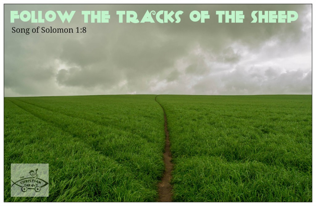 Song 1;8