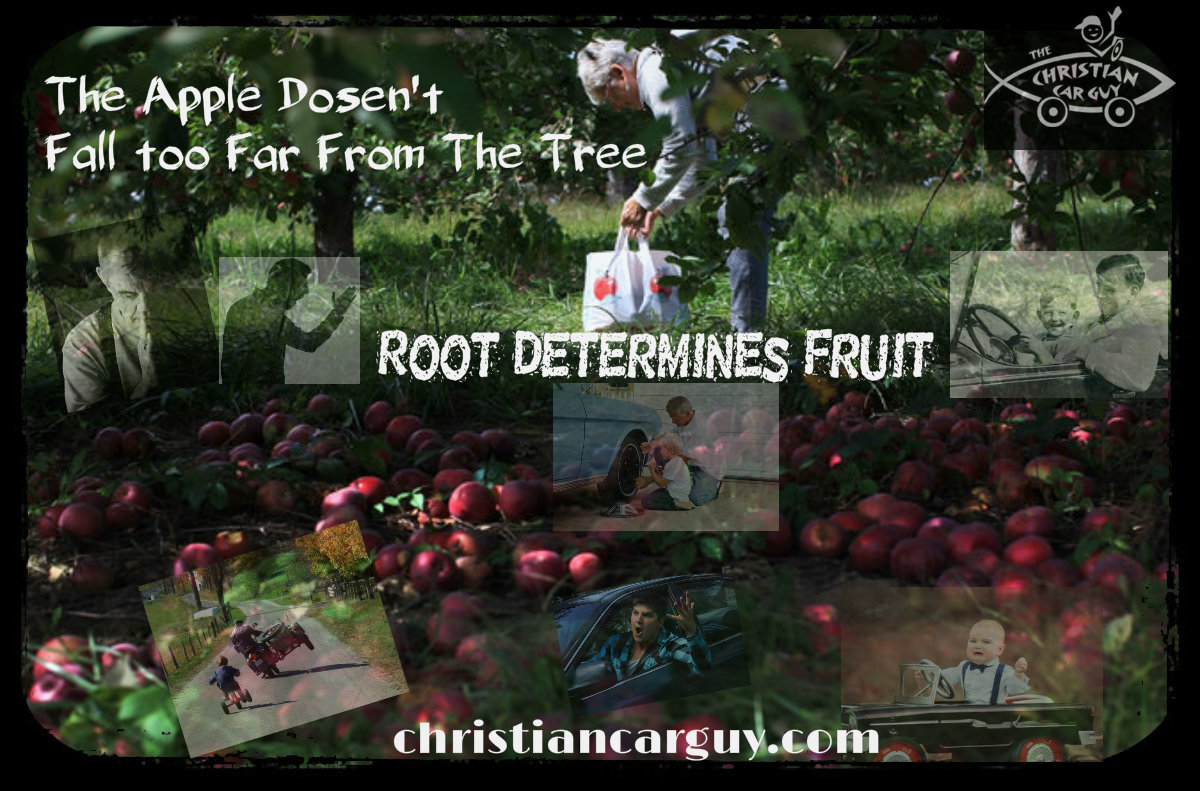 Apple Root