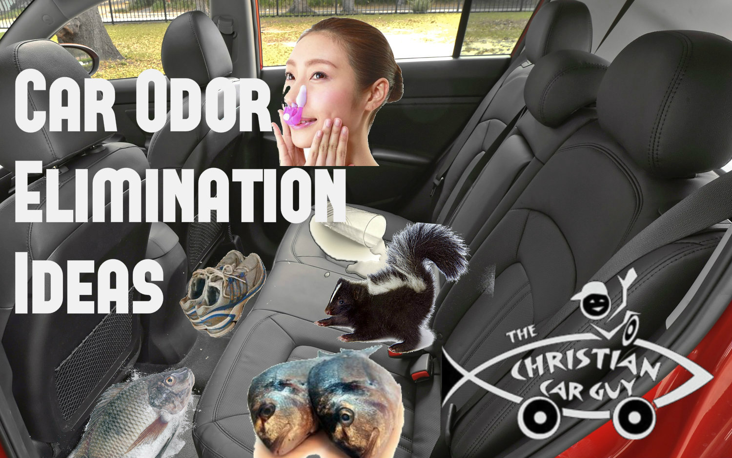 Car Odor Elimination Ideas