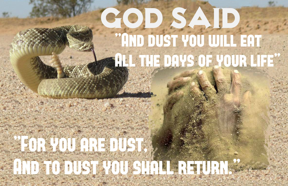 dust and man(3)